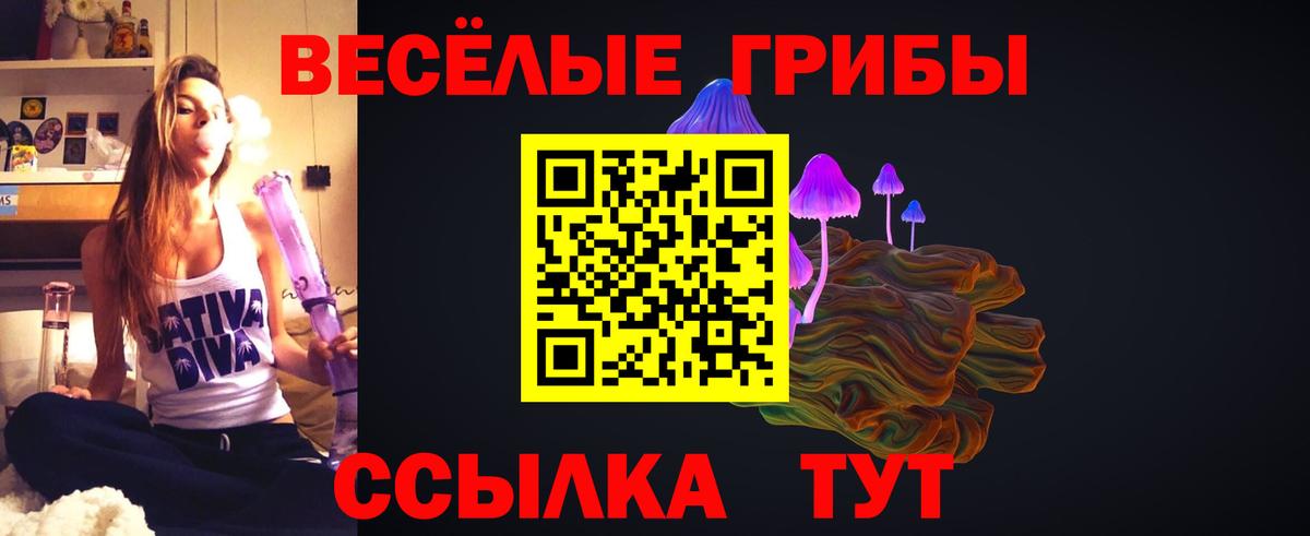 Псилоцибиновые грибы Magic Shrooms Новотроицк